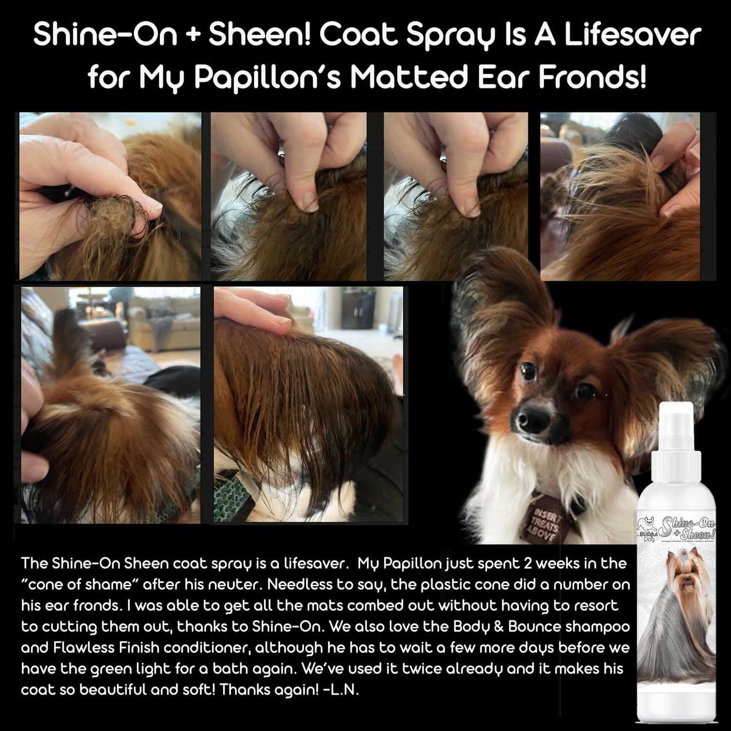 Shine-On+Sheen Dog De-Tangling Coat Spray by The Blissful Dog – Leave-In Conditioner & Coat Polish