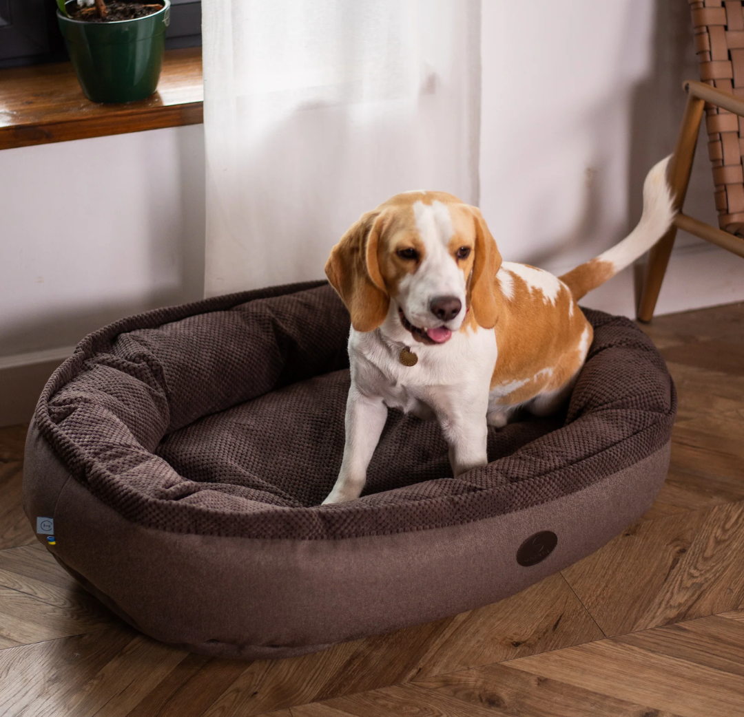 Chester & Lee Cuddly Bagel Dog Bed
