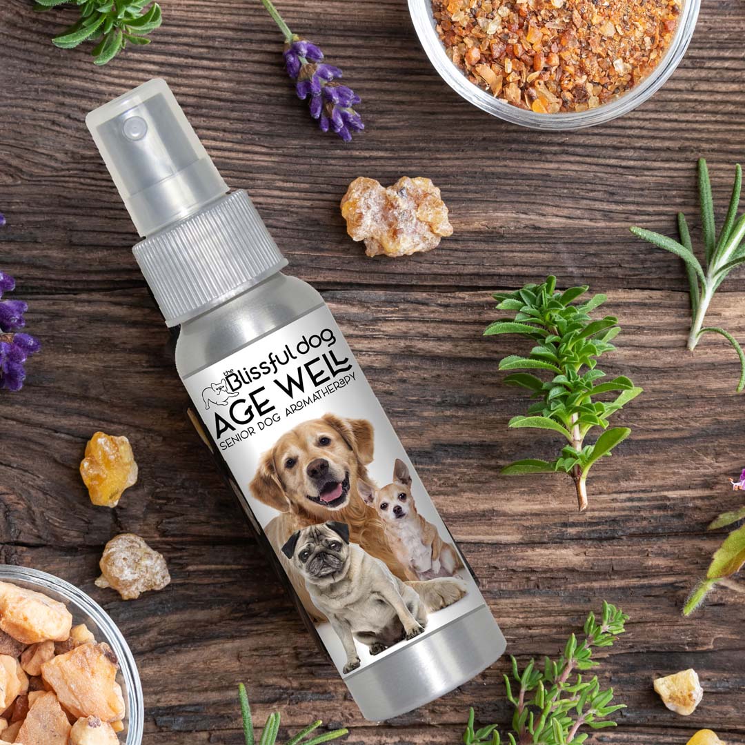 3 Old Friends Age Well Dog Aromatherapy by The Blissful Dog – Natural Senior Dog Support