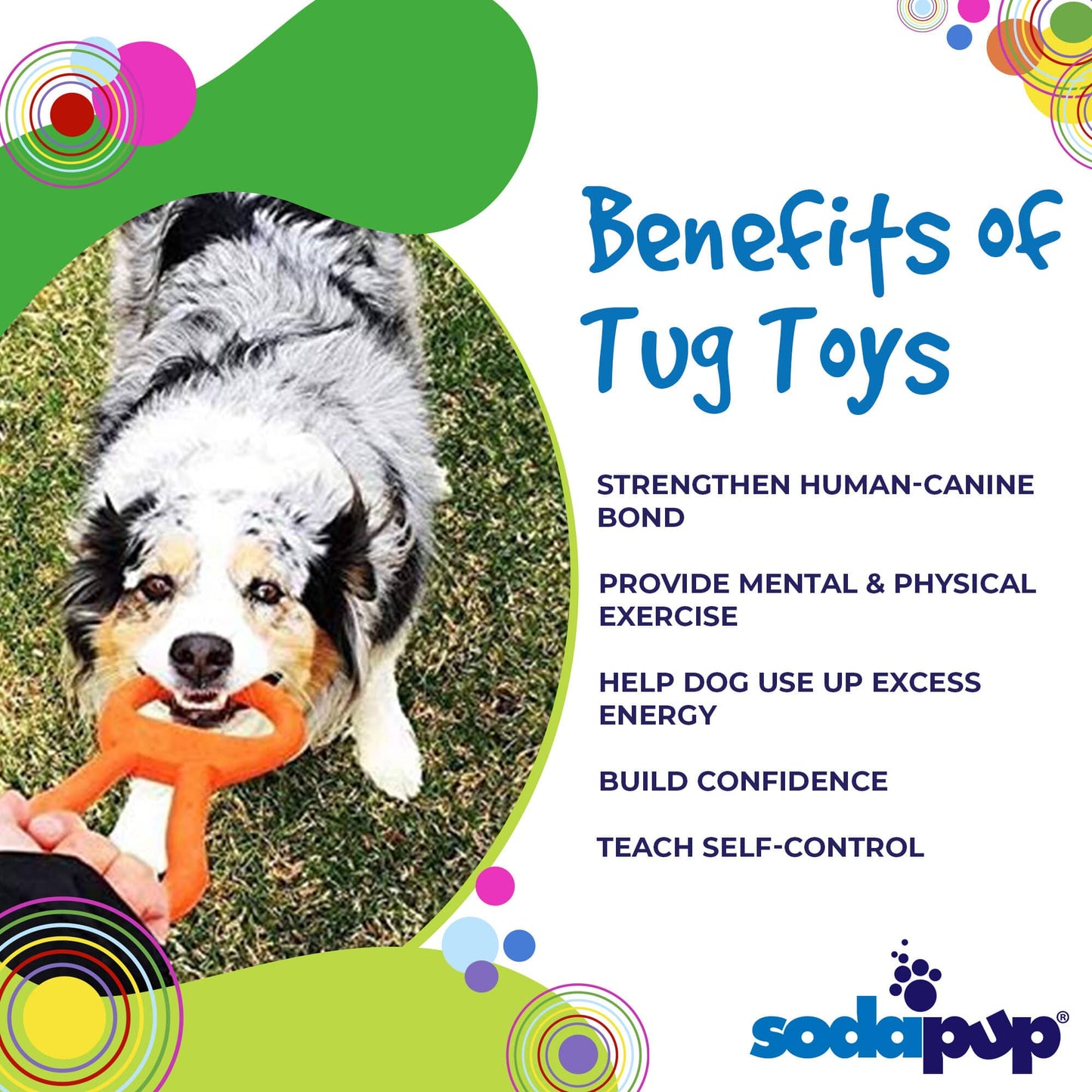 SodaPup Pop Top Natural Rubber Tug Toy – USA Made