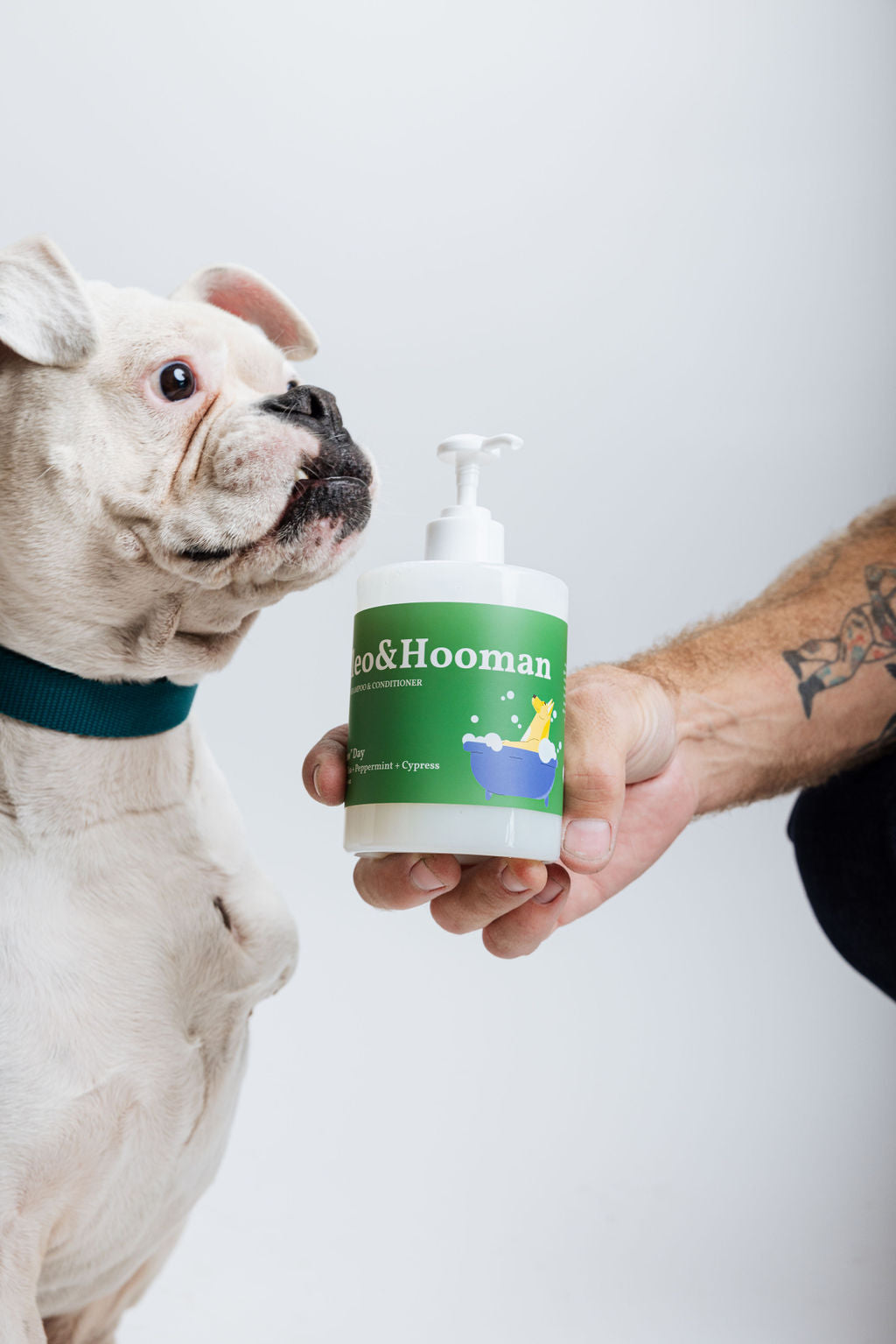 Spaw Day Dog Shampoo & Conditioner Duo | Cleo&Hooman