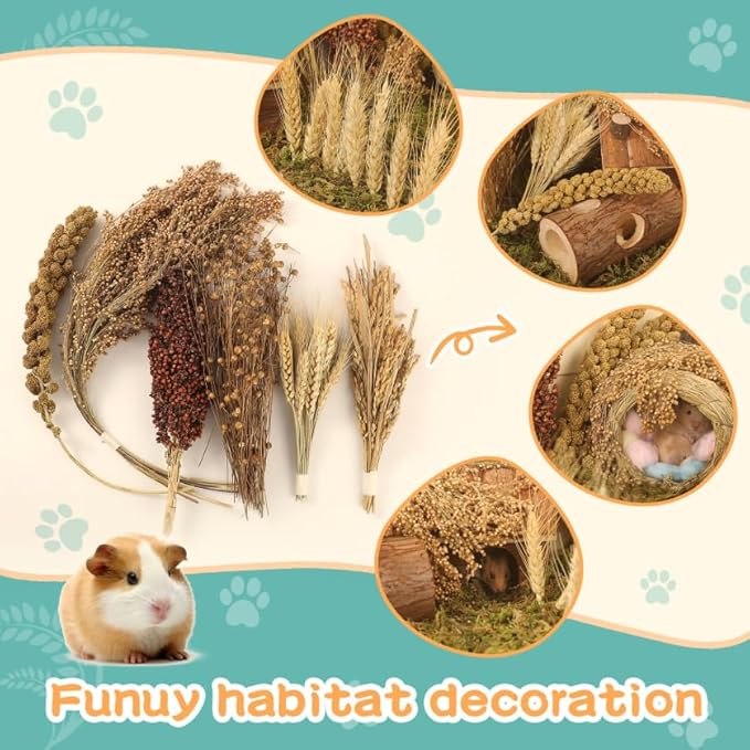 Natural Foraging Spray Set – Grains, Millet & Chew Toys for Hamsters, Guinea Pigs & Small Pets