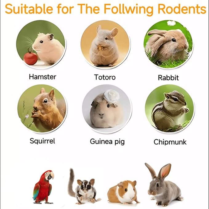 Papaya Grains Small Animal Treats – 10 oz | Chinchilla, Rabbit & Sugar Glider Food