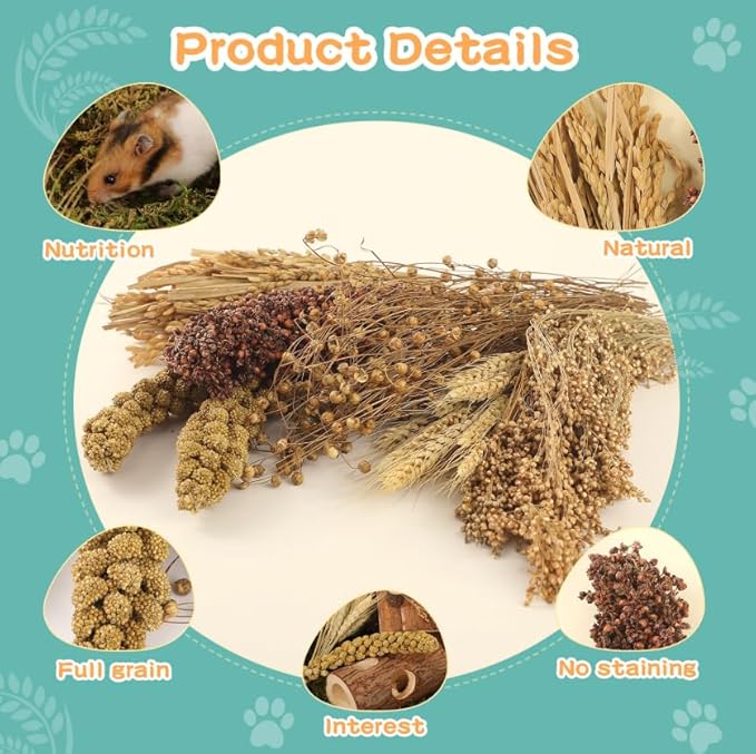 Natural Foraging Spray Set – Grains, Millet & Chew Toys for Hamsters, Guinea Pigs & Small Pets