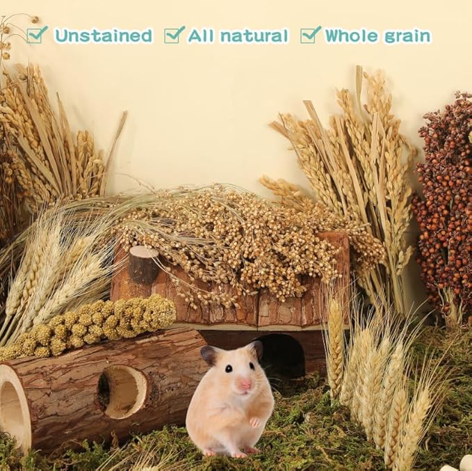 Natural Foraging Spray Set – Grains, Millet & Chew Toys for Hamsters, Guinea Pigs & Small Pets