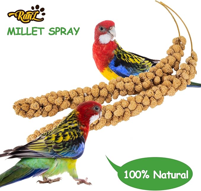 RANZ Sun-Dried Millet Spray for Birds, GMO-Free (5 LB)