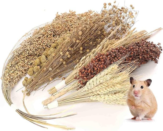 Natural Foraging Spray Set – Grains, Millet & Chew Toys for Hamsters, Guinea Pigs & Small Pets