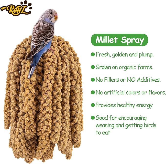 RANZ Sun-Dried Millet Spray for Birds, GMO-Free (5 LB)