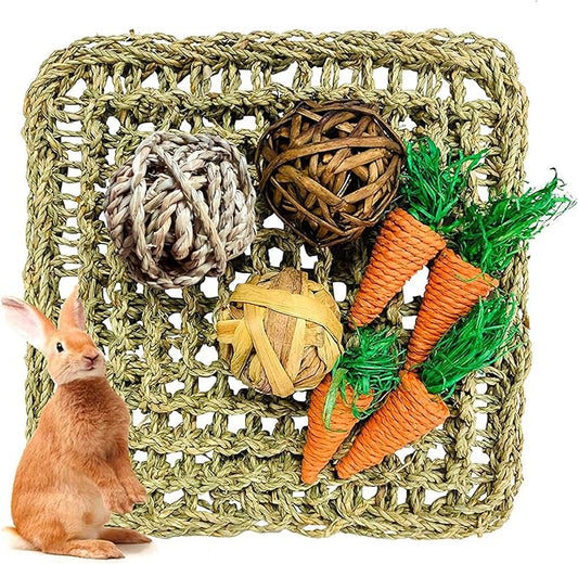 Hamiledyi Seagrass Activity Mat & Chew Toy Set for Small Animals