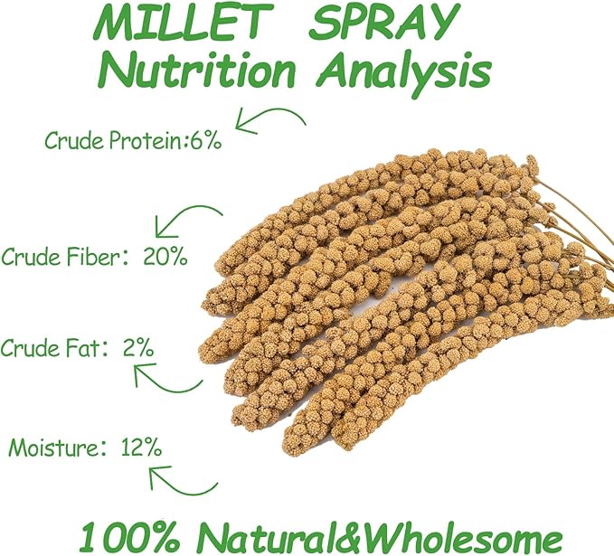 RANZ Sun-Dried Millet Spray for Birds, GMO-Free (5 LB)