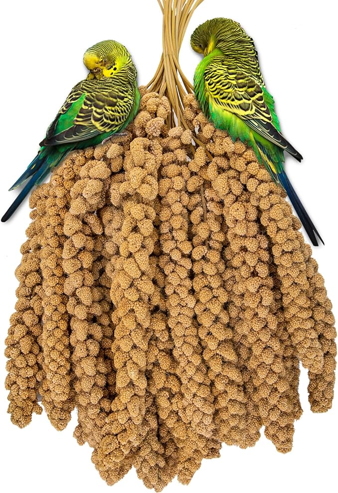 RANZ Sun-Dried Millet Spray for Birds, GMO-Free (5 LB)