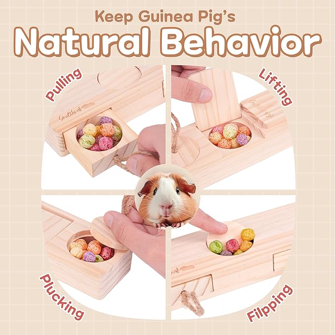 SoulThink Sniff n' Snack Wooden Foraging Toy – 2 Sets | Rabbit, Guinea Pig & Hamster