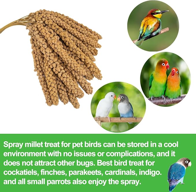RANZ Sun-Dried Millet Spray for Birds, GMO-Free (5 LB)