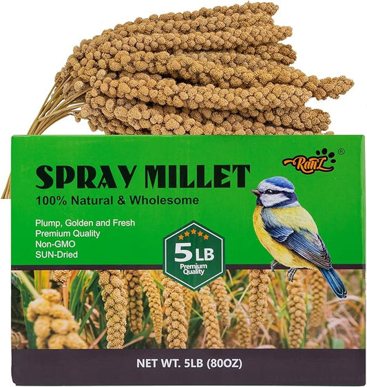RANZ Sun-Dried Millet Spray for Birds, GMO-Free (5 LB)