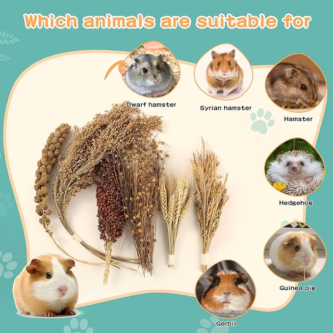 Natural Foraging Spray Set – Grains, Millet & Chew Toys for Hamsters, Guinea Pigs & Small Pets