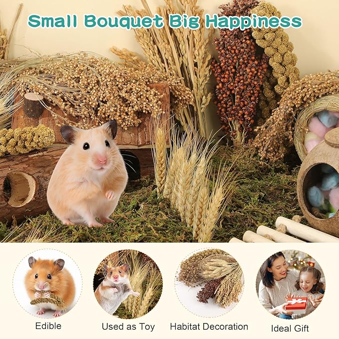 Natural Foraging Spray Set – Grains, Millet & Chew Toys for Hamsters, Guinea Pigs & Small Pets