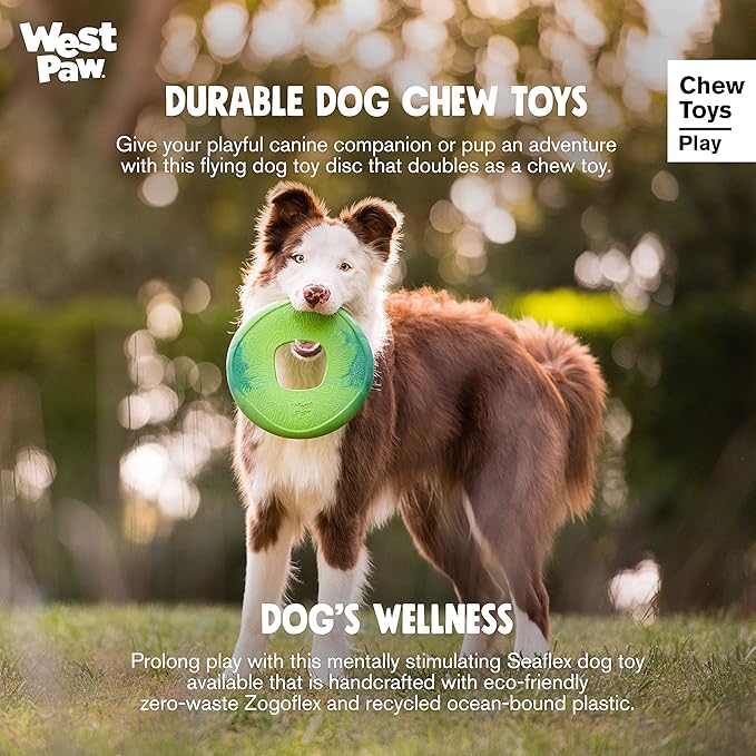 West Paw Seaflex Sailz Flying Disc Dog Toy – Eco-Friendly Zogoflex | Made in USA