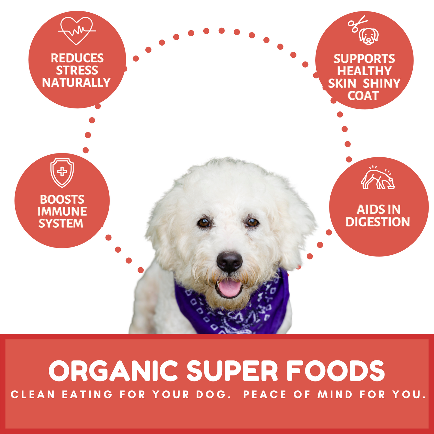 Dog Mamma's Organic Apple Cranberry Dog Treats – 6 oz | USDA Organic