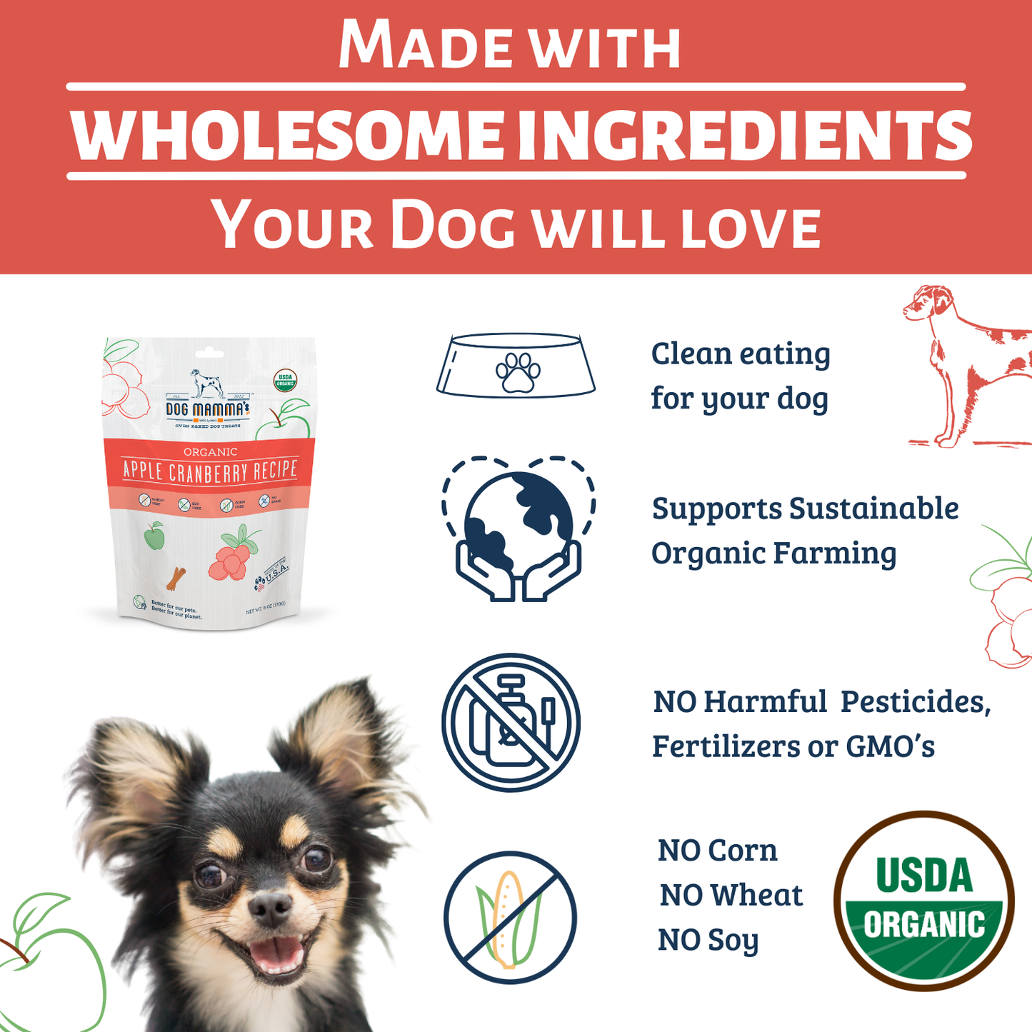 Dog Mamma's Organic Apple Cranberry Dog Treats – 6 oz | USDA Organic