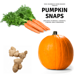 Dog Mamma's Organic Pumpkin Snaps Dog Treats – 6 oz | USDA Organic