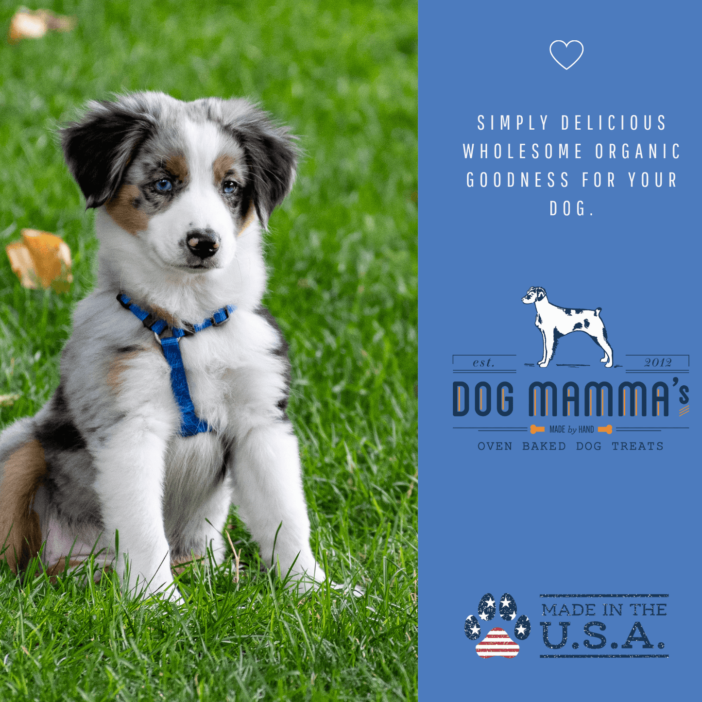 Dog Mamma's Organic Berry Banana Coconut Dog Treats – 6 oz | USDA Organic