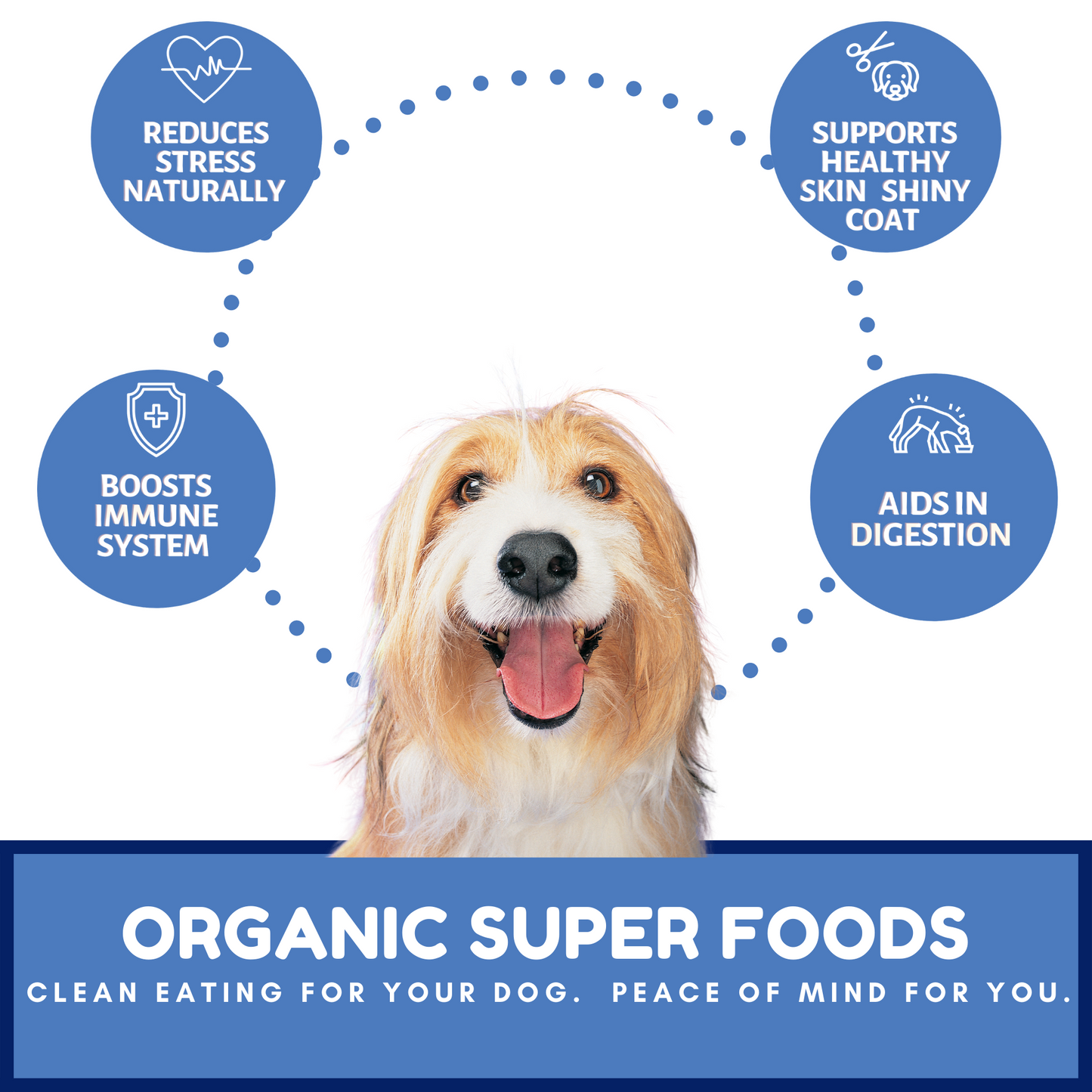 Dog Mamma's Organic Berry Banana Coconut Dog Treats – 6 oz | USDA Organic