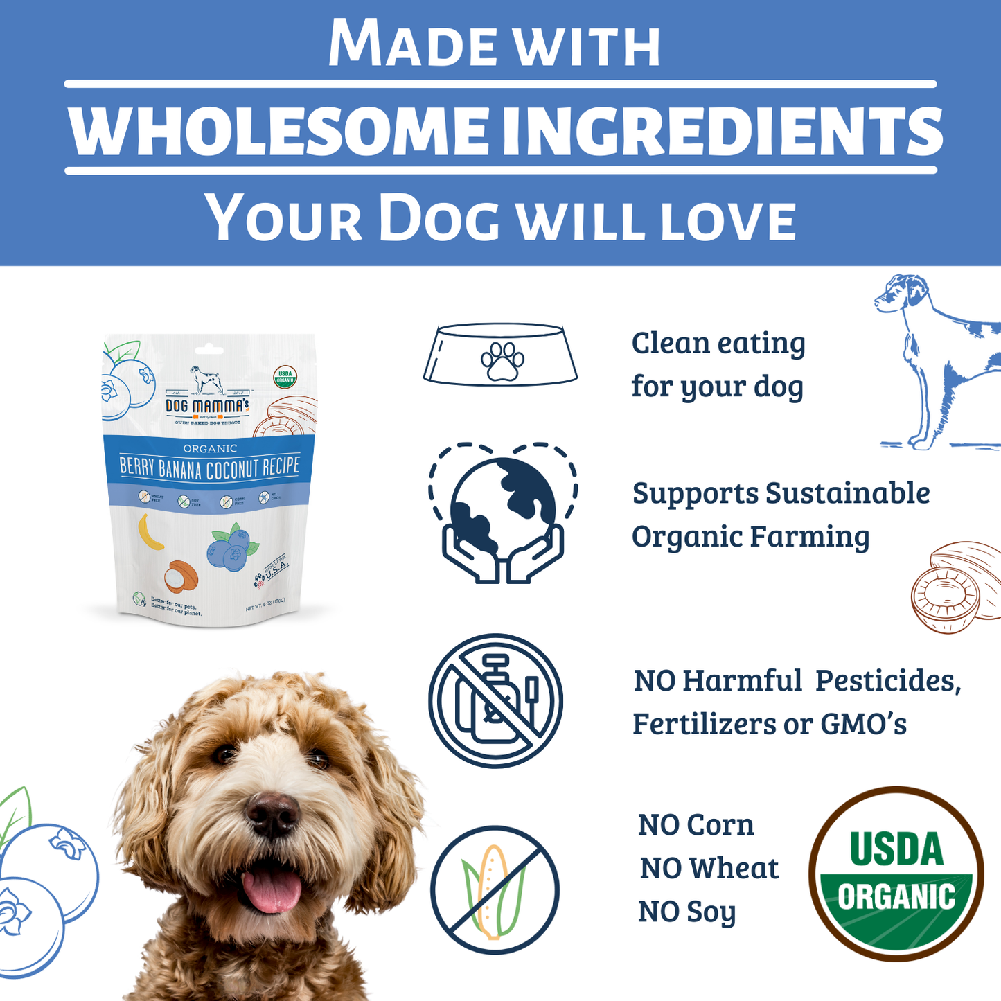 Dog Mamma's Organic Berry Banana Coconut Dog Treats – 6 oz | USDA Organic