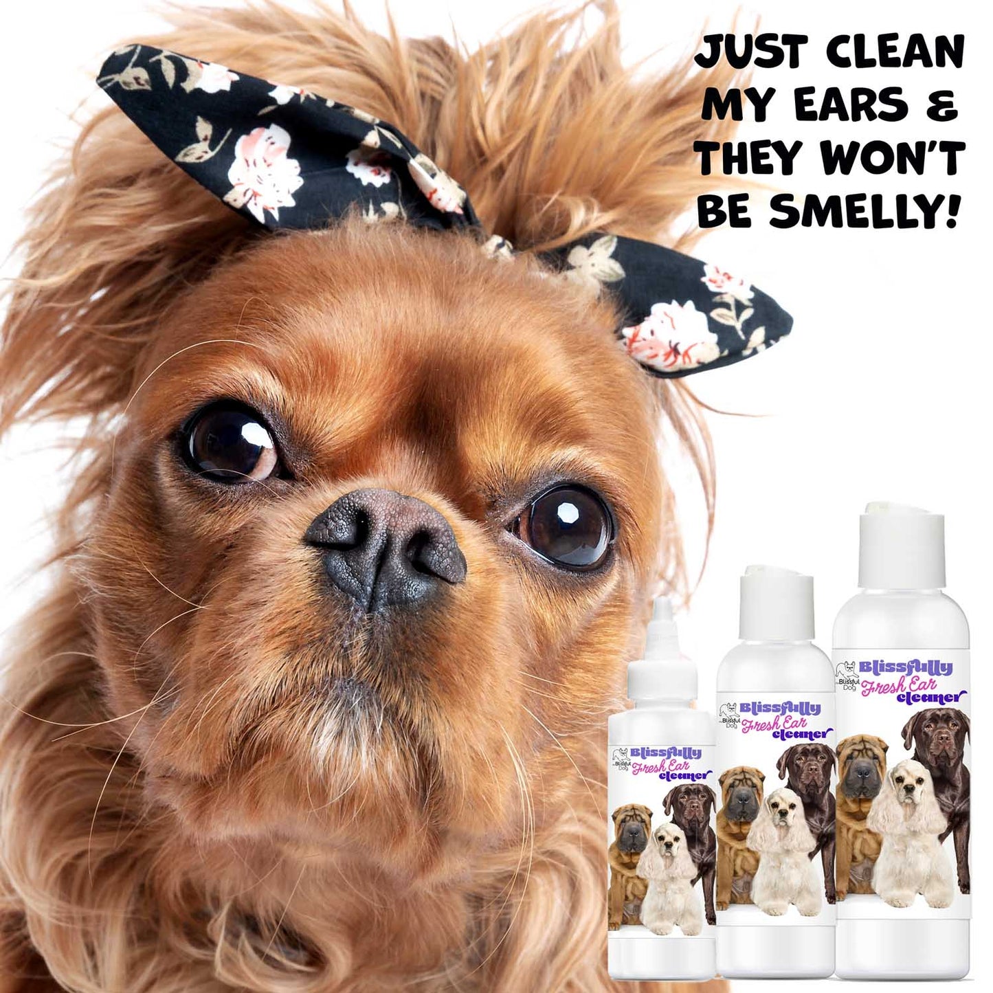 Blissfully Fresh™ Dog Ear Cleaner by The Blissful Dog – Natural Ear Cleaning Solution