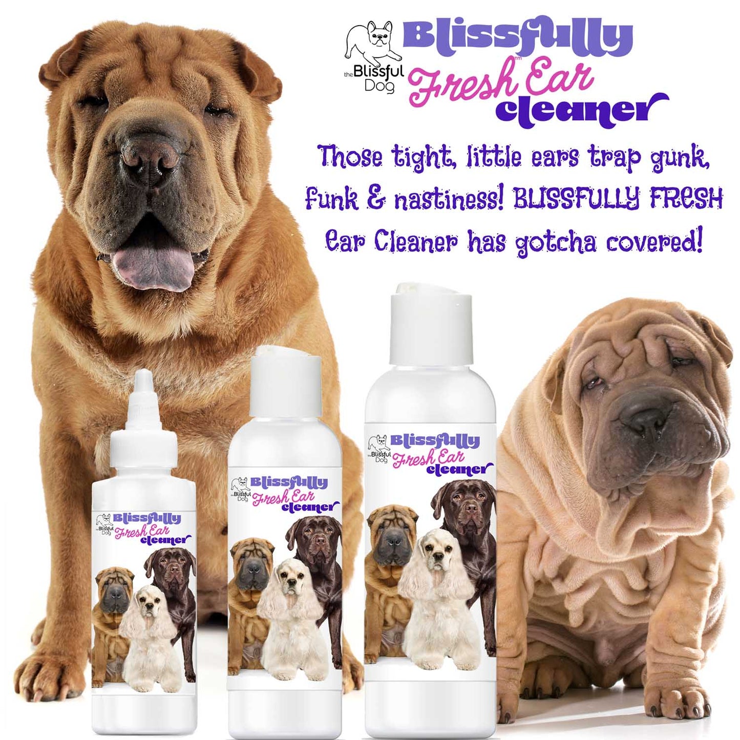 Blissfully Fresh™ Dog Ear Cleaner by The Blissful Dog – Natural Ear Cleaning Solution