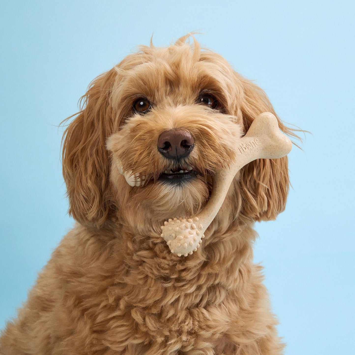 BetterBone LIGHT — Plant-Based Eco Dog Chew