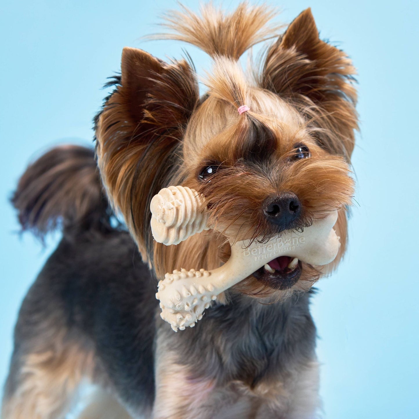 BetterBone LIGHT — Plant-Based Eco Dog Chew