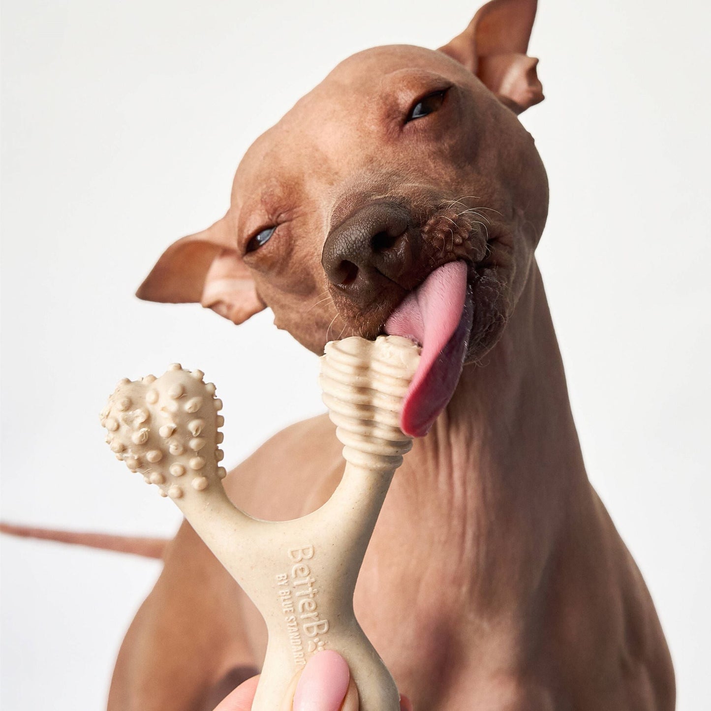 BetterBone LIGHT — Plant-Based Eco Dog Chew