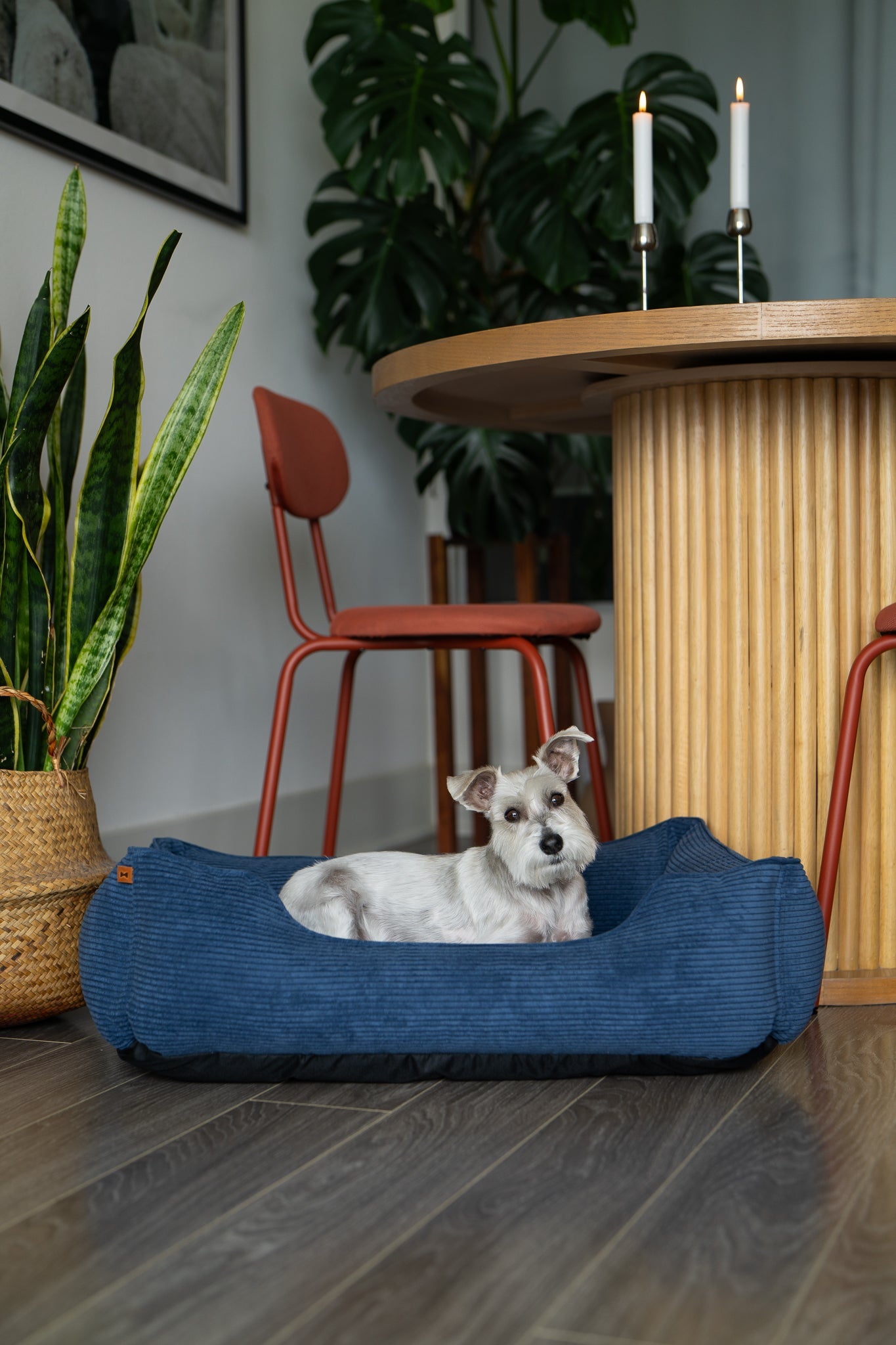 Chester & Lee Fancy Corduroy Sleeper Dog Bed – Blue