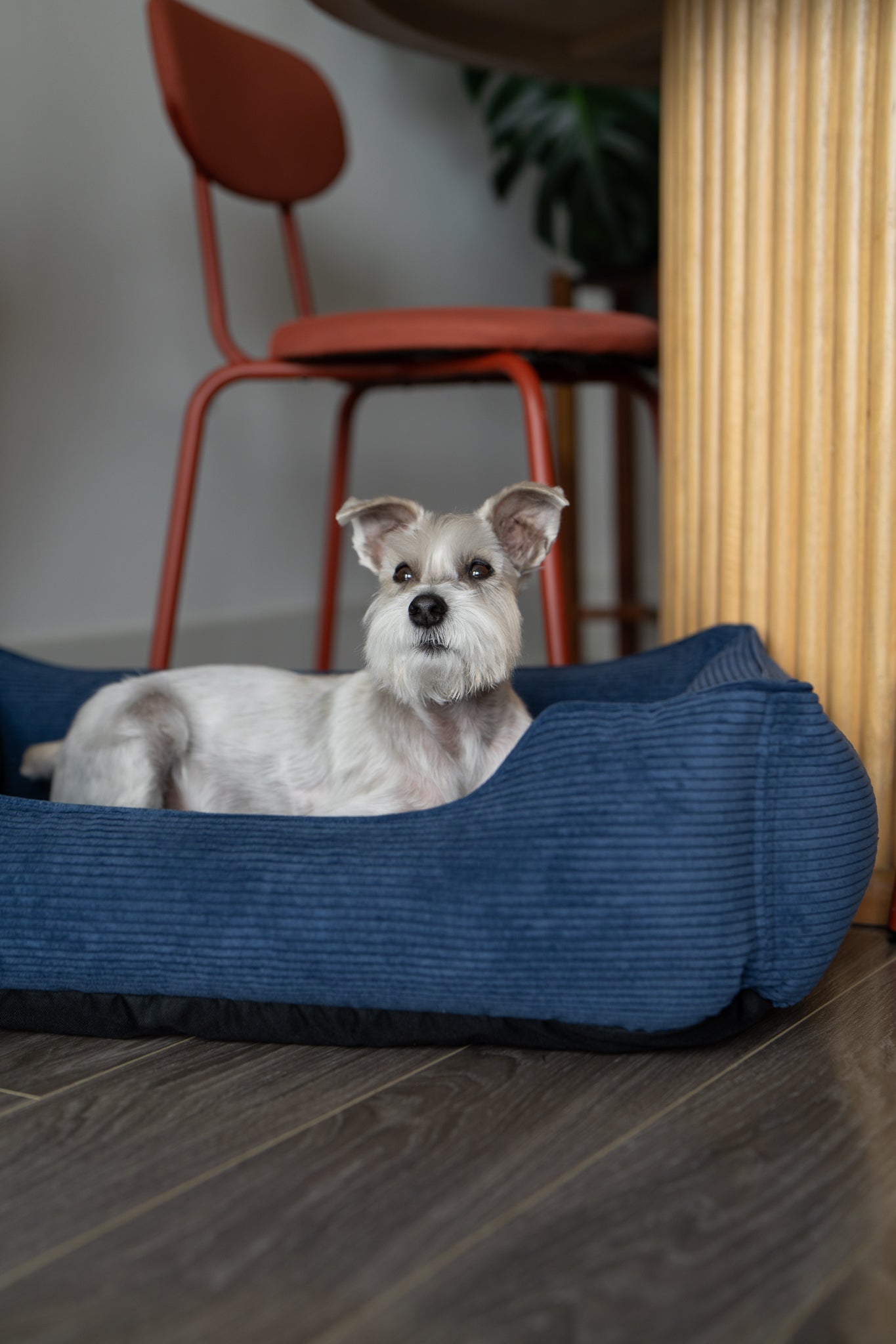 Chester & Lee Fancy Corduroy Sleeper Dog Bed – Blue