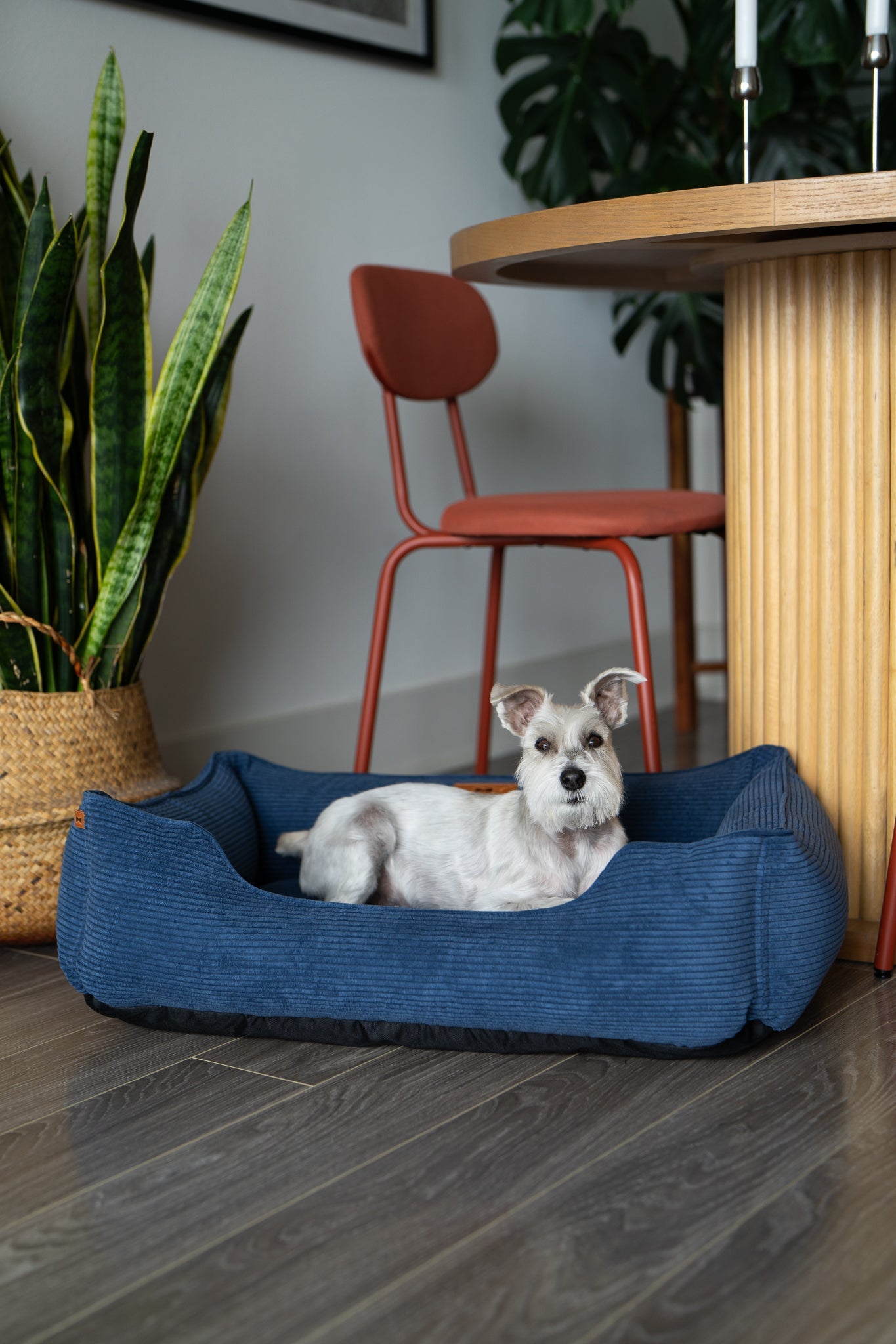 Chester & Lee Fancy Corduroy Sleeper Dog Bed – Blue