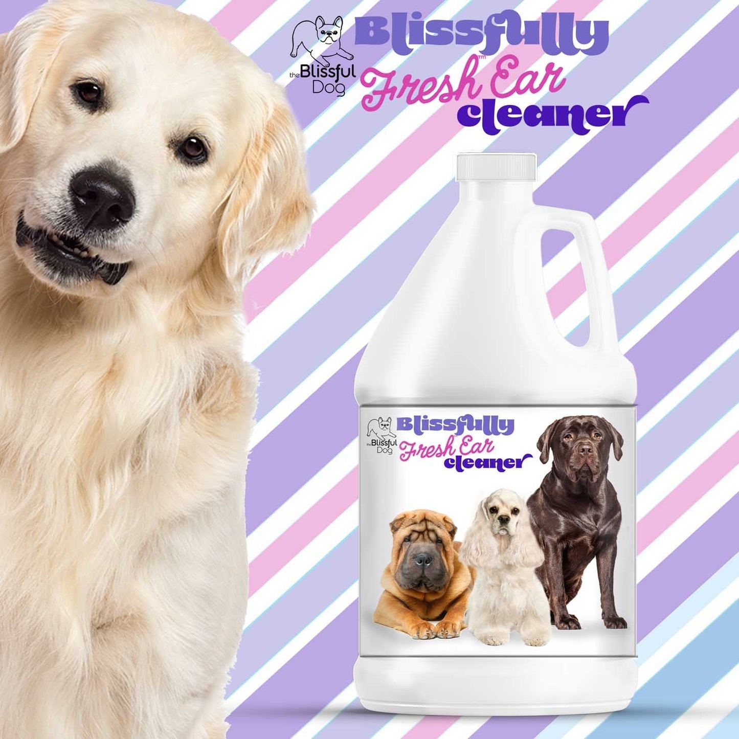 Blissfully Fresh™ Dog Ear Cleaner by The Blissful Dog – Natural Ear Cleaning Solution