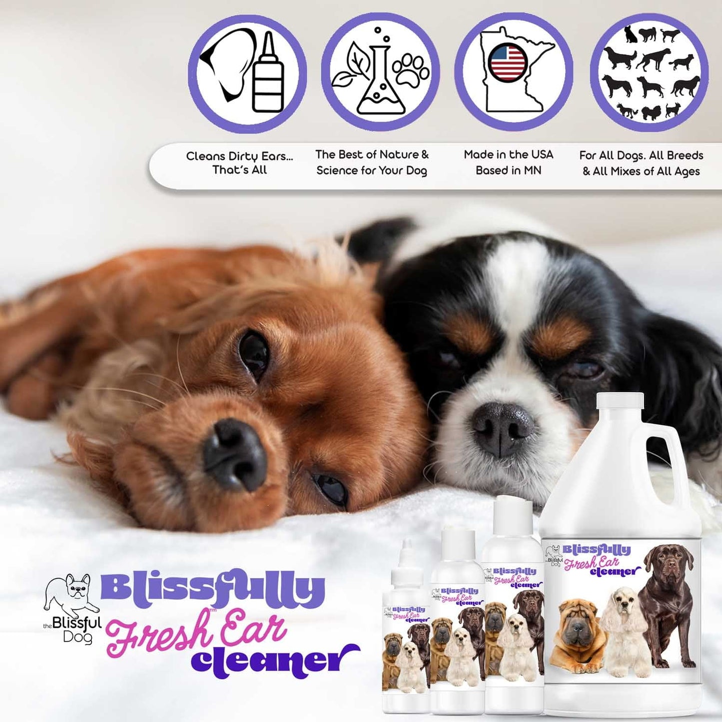 Blissfully Fresh™ Dog Ear Cleaner by The Blissful Dog – Natural Ear Cleaning Solution
