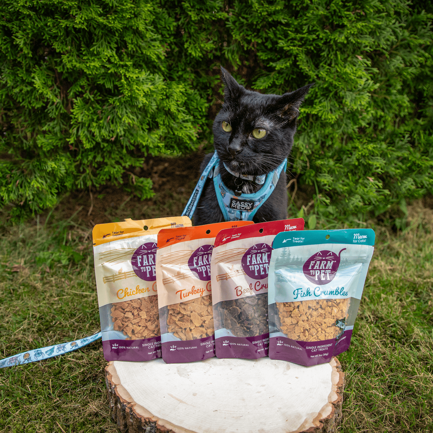 Beef Crumbles for Cats | Single-Ingredient, Grain-Free Cat Treats