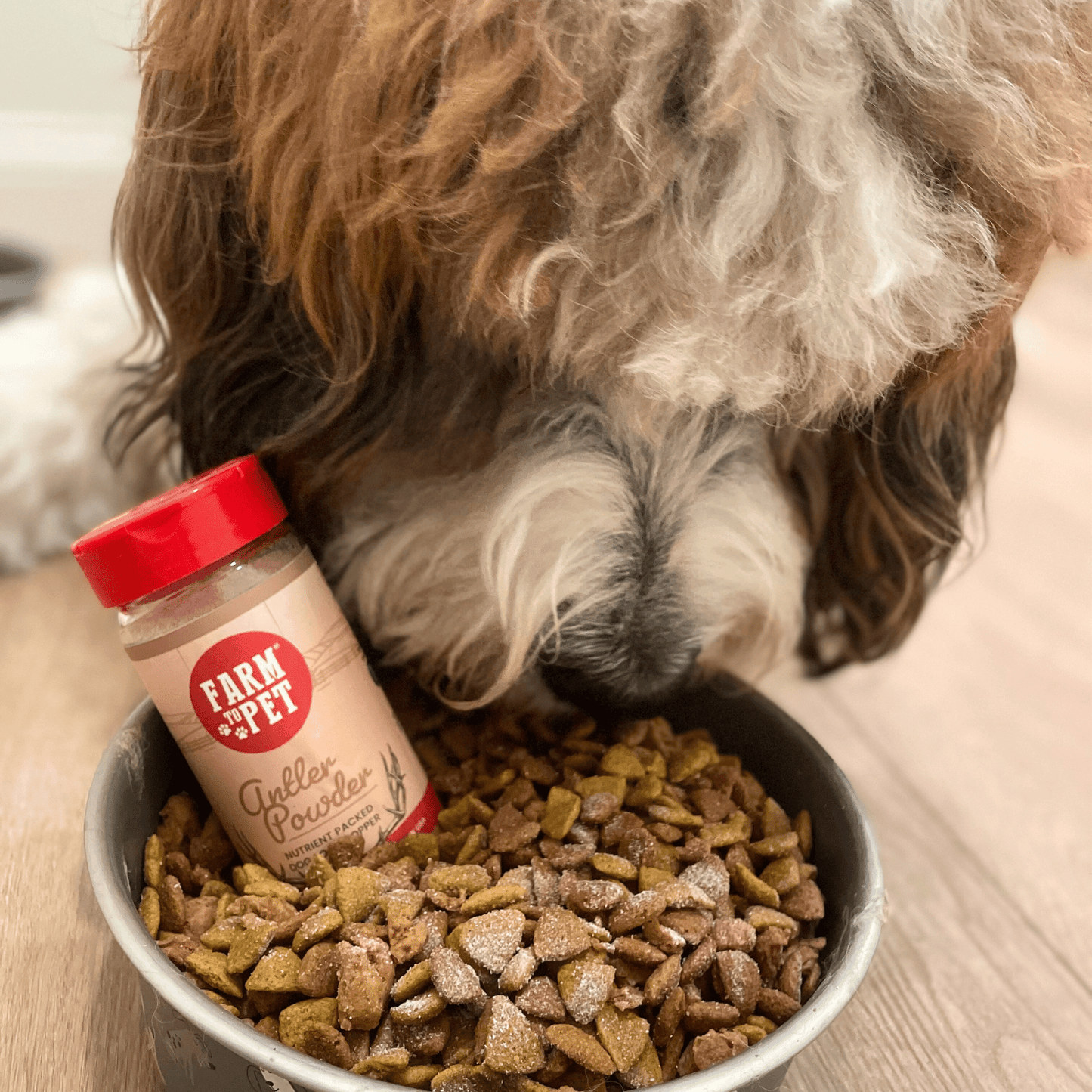 Elk Antler Powder Food Topper for Dogs & Cats