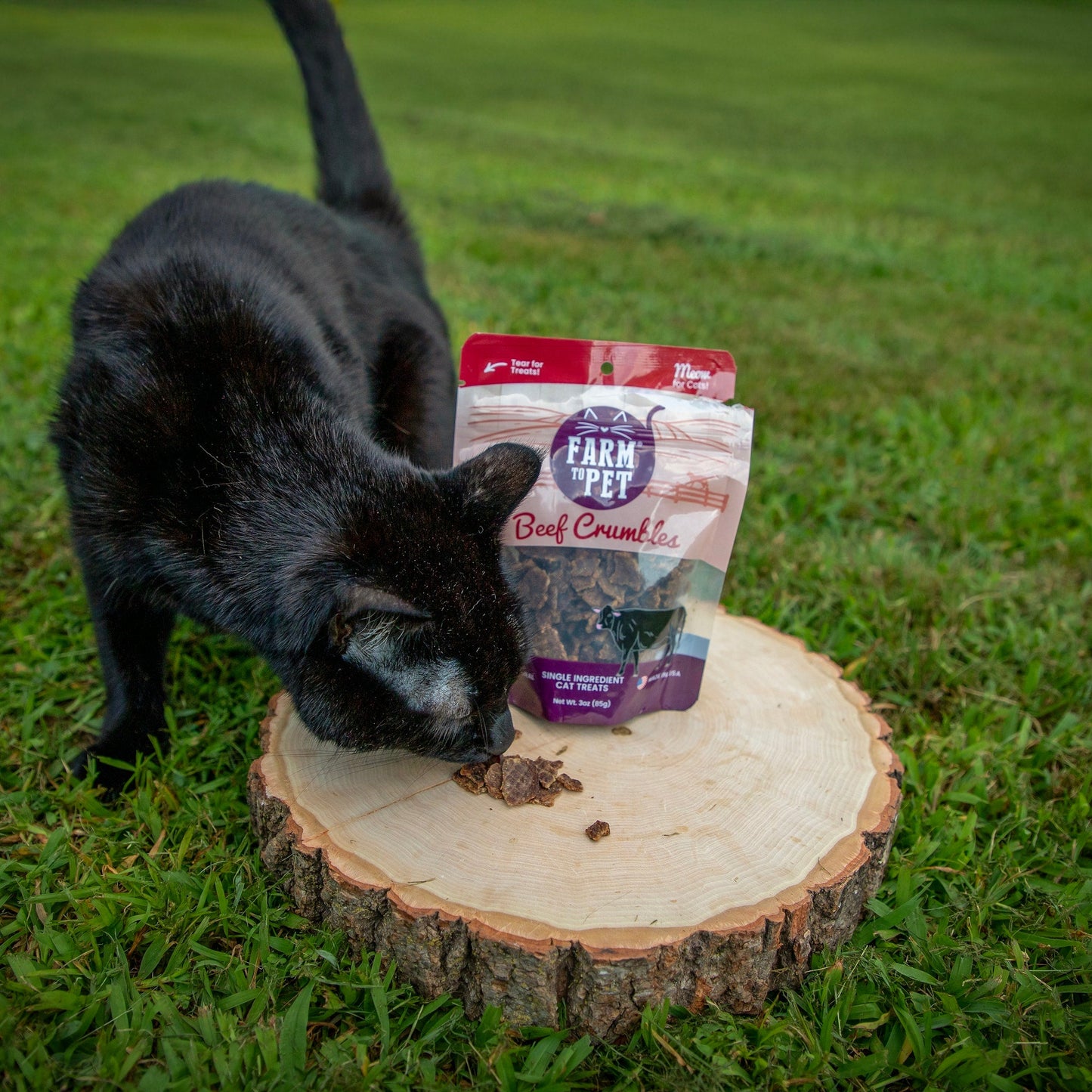 Beef Crumbles for Cats | Single-Ingredient, Grain-Free Cat Treats
