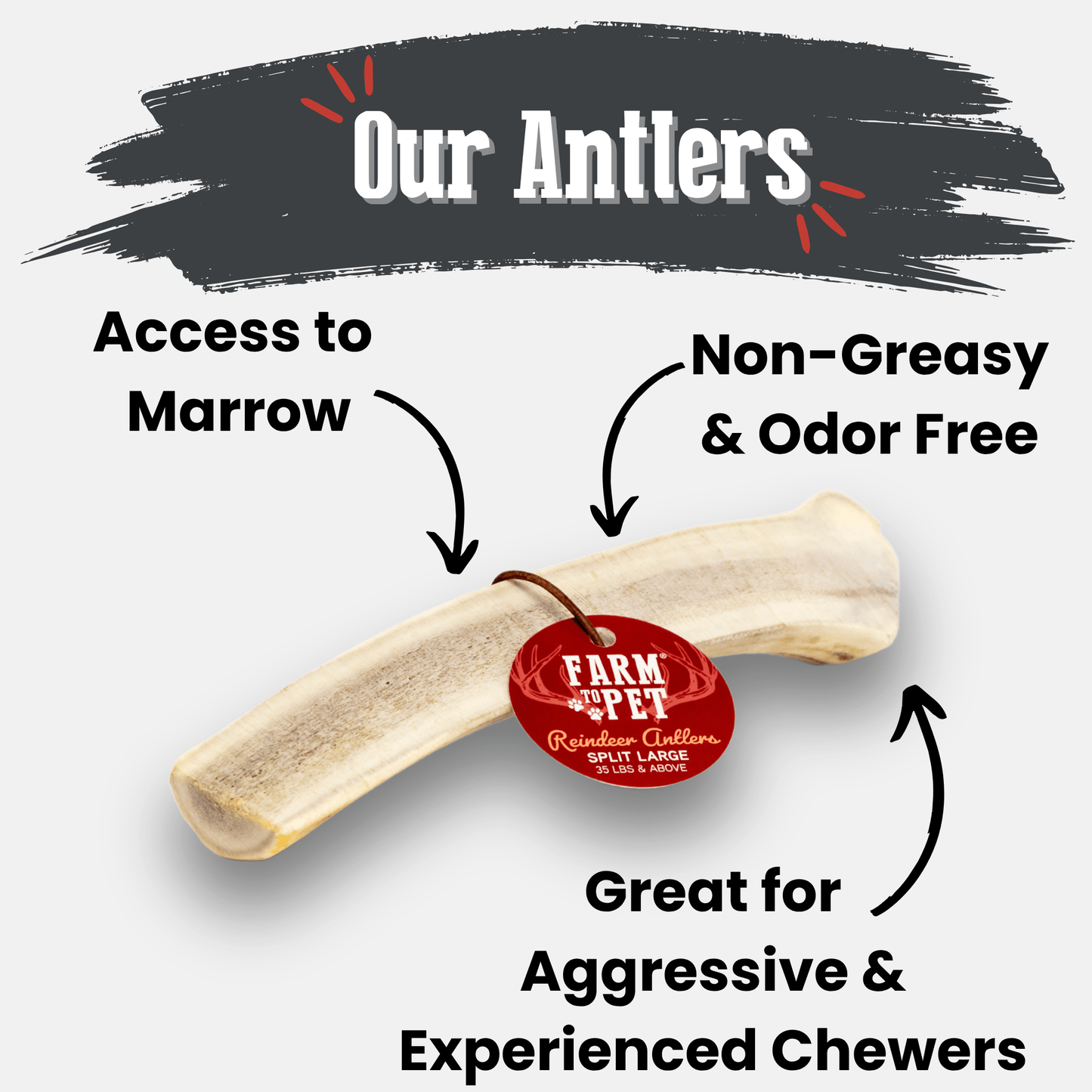 Reindeer Antler Dog Chews | Wild-Gathered, Organic Chews for Dogs