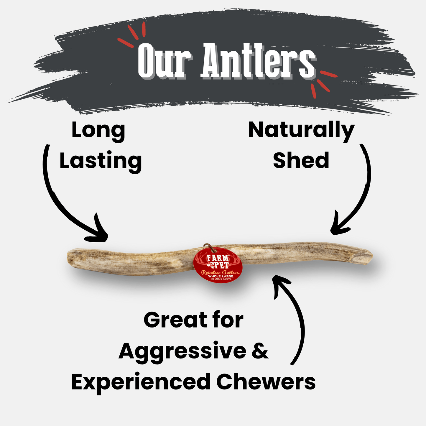 Reindeer Antler Dog Chews | Wild-Gathered, Organic Chews for Dogs