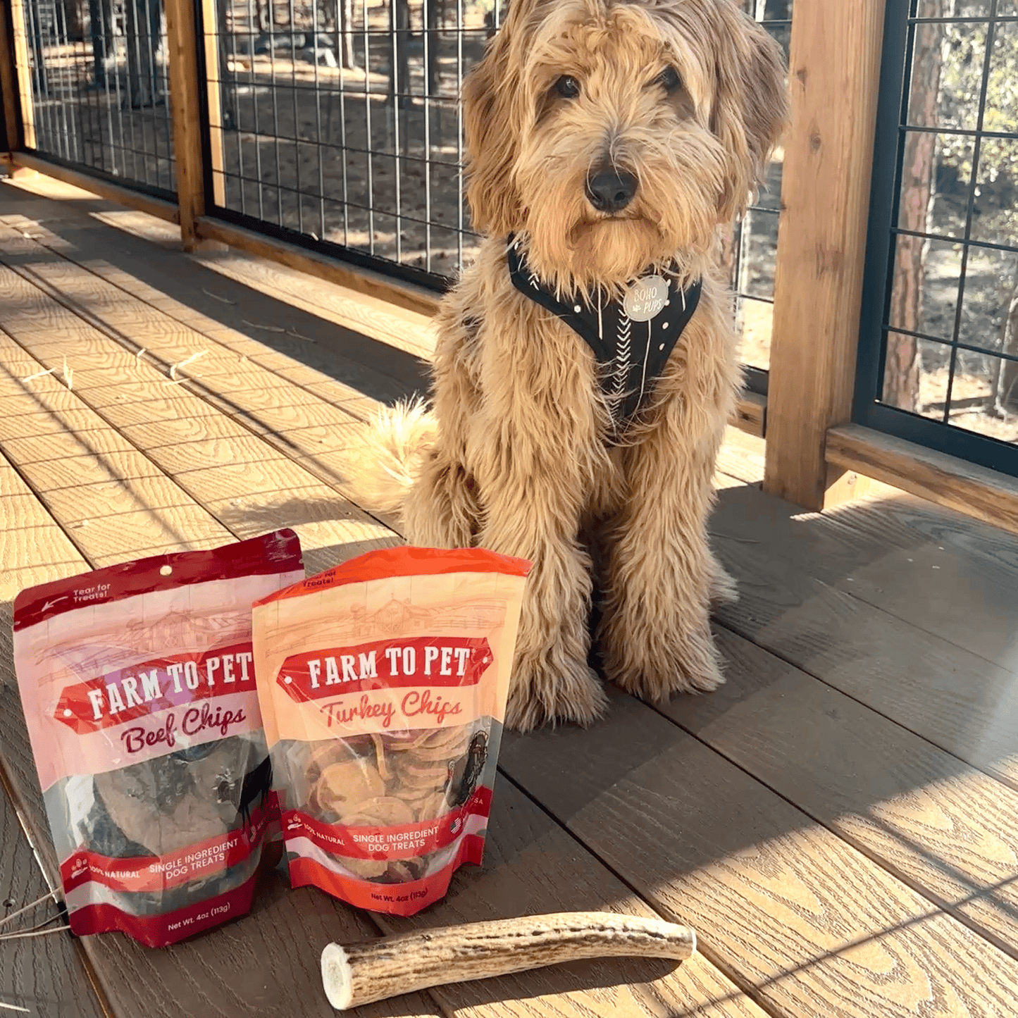 Reindeer Antler Dog Chews | Wild-Gathered, Organic Chews for Dogs