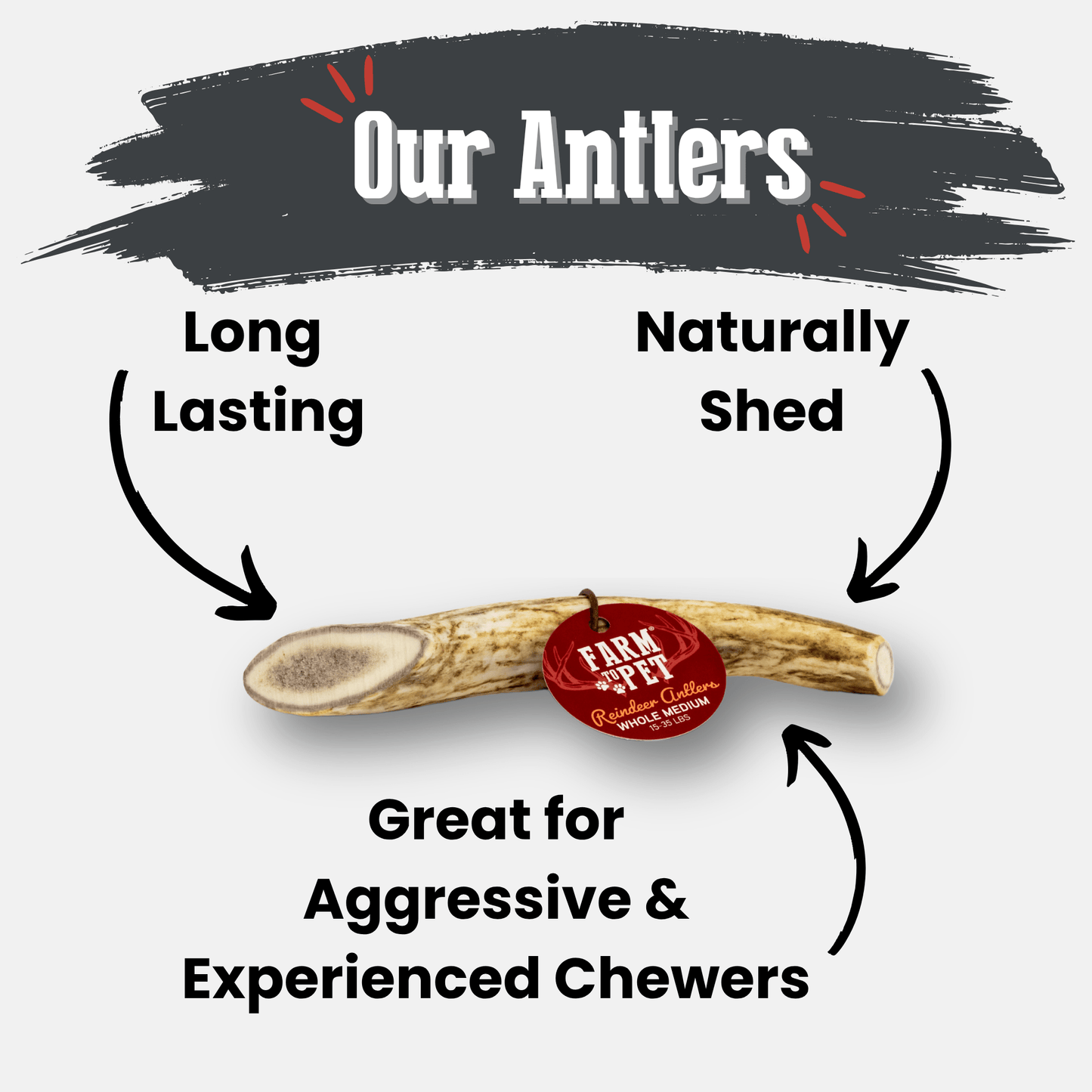 Reindeer Antler Dog Chews | Wild-Gathered, Organic Chews for Dogs