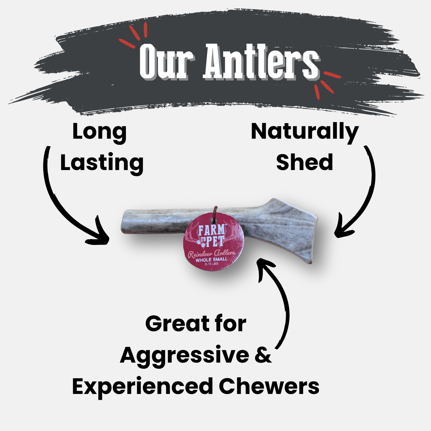 Reindeer Antler Dog Chews | Wild-Gathered, Organic Chews for Dogs