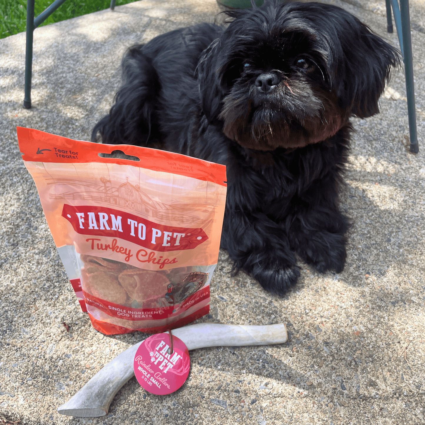Reindeer Antler Dog Chews | Wild-Gathered, Organic Chews for Dogs