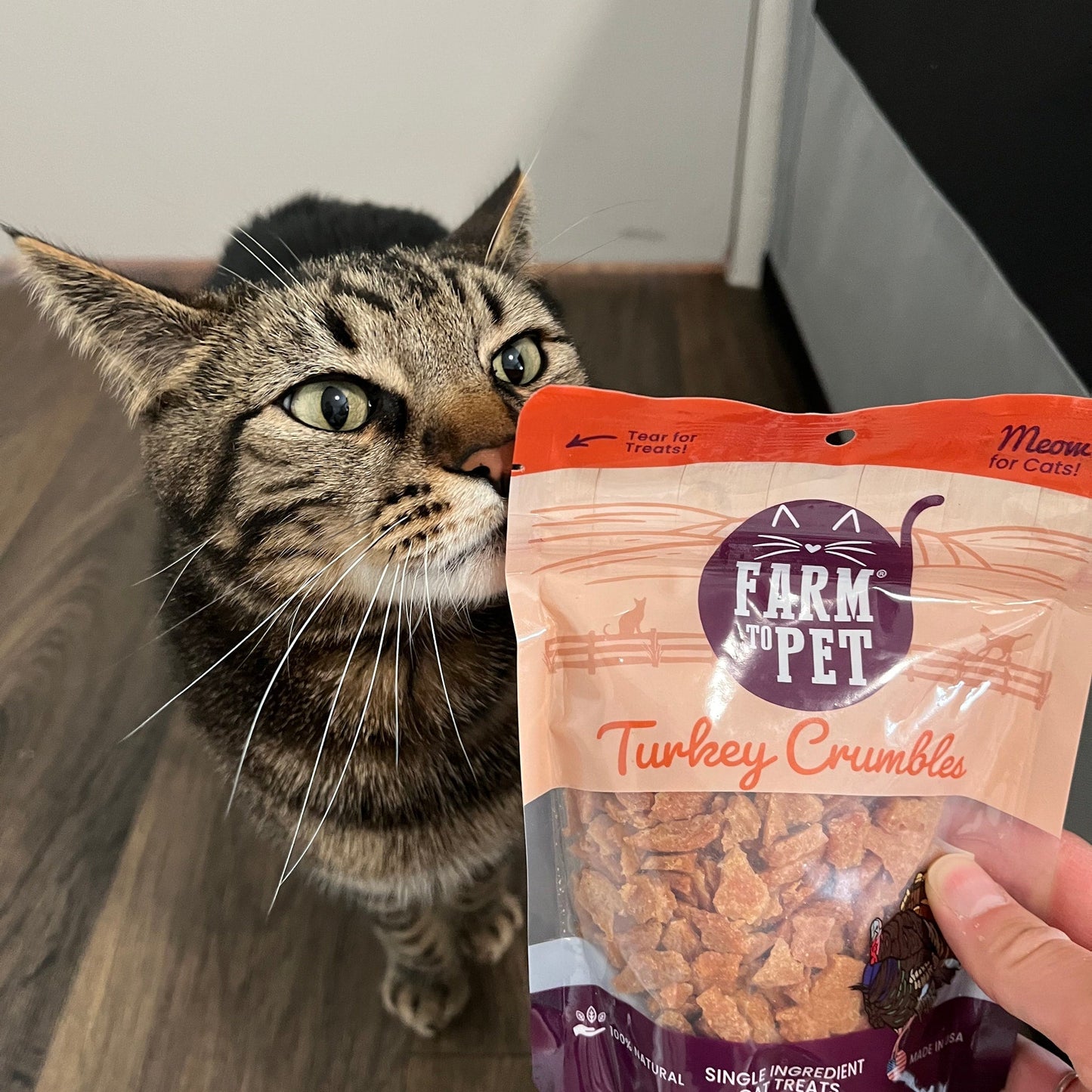 Turkey Crumbles for Cats | Single-Ingredient, Grain-Free Cat Treats