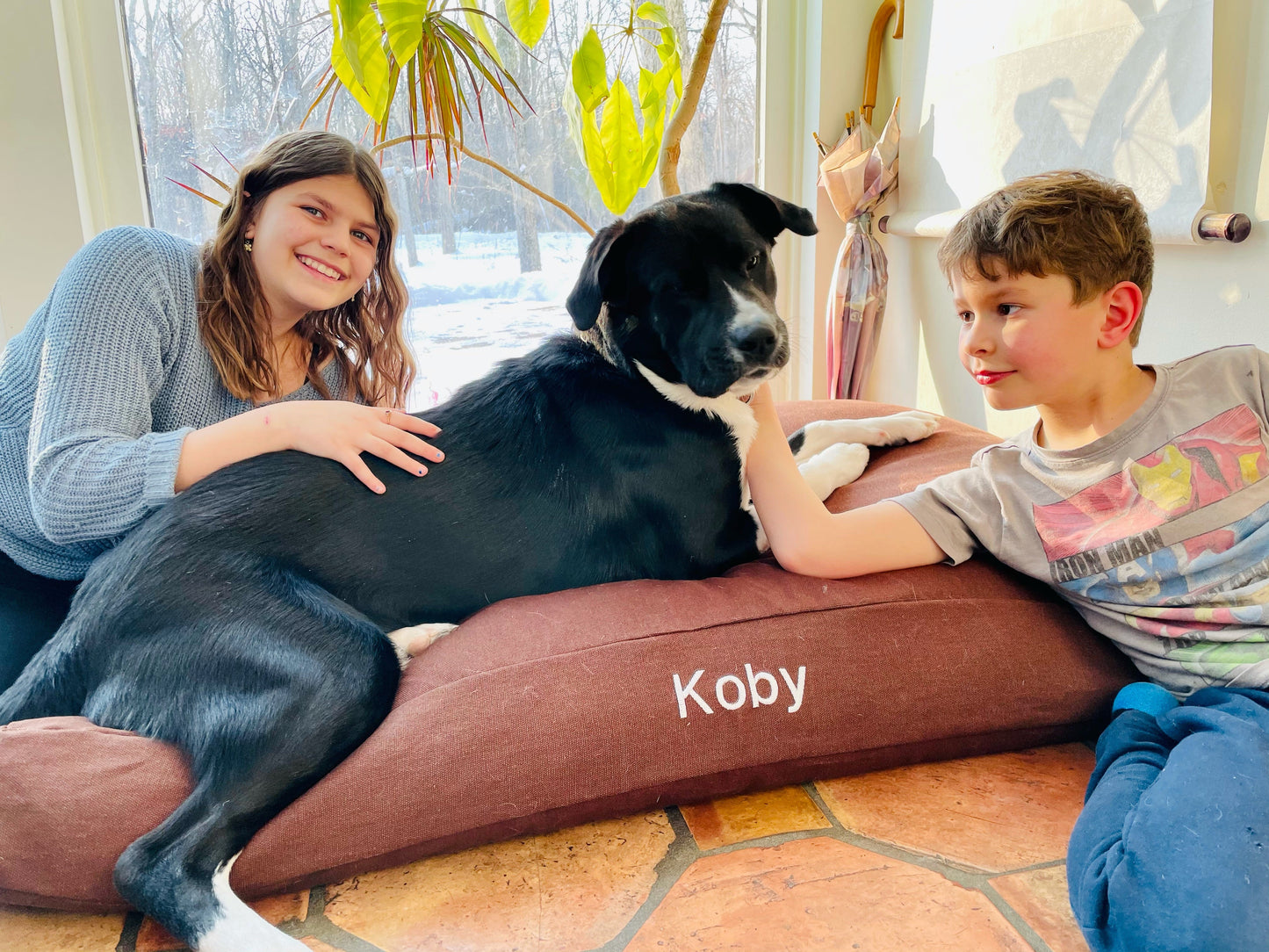 Premium Hemp Dog Bed — Organic Latex Foam Fill