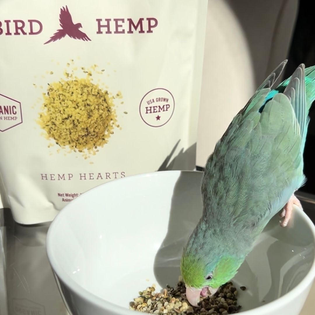 Organic Hemp Hearts for Birds | Feather Plucking & Immune Support