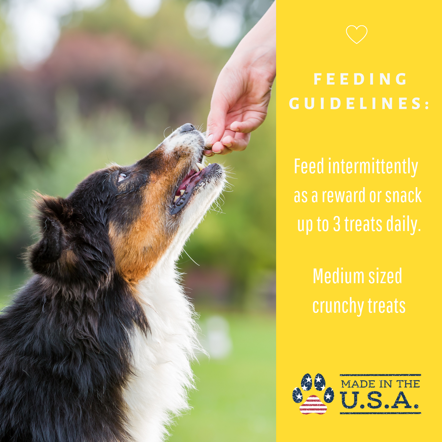 Dog Mamma's Organic Peanut Butter Banana Dog Treats – 6 oz | USDA Organic